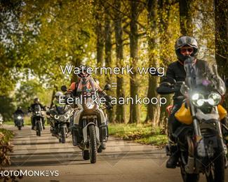 Herfstrit Moerzeke photo