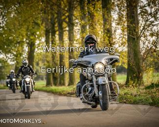 Balade d’automne Moerzeke photo