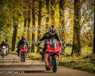 Herfstrit Moerzeke photo