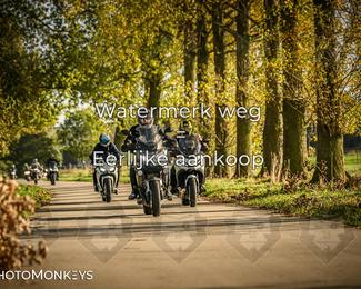 Herfstrit Moerzeke photo