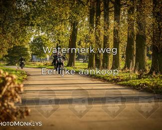 Balade d’automne Moerzeke photo