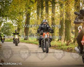 Herfstrit Moerzeke photo