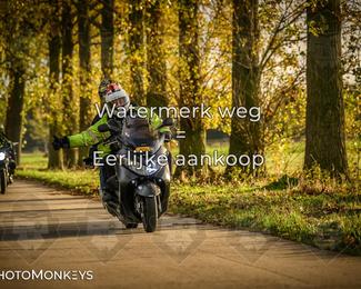 Herfstrit Moerzeke photo