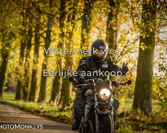 Herfstrit Moerzeke photo