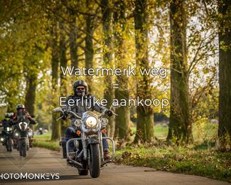 Herfstrit Moerzeke photo