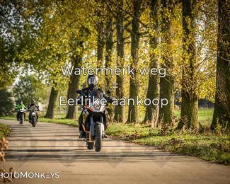 Herfstrit Moerzeke photo