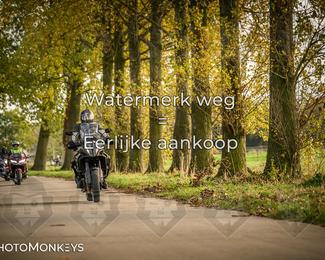 Herfstrit Moerzeke photo