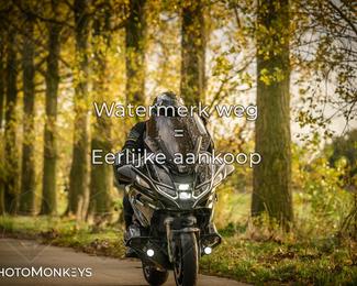 Herfstrit Moerzeke photo