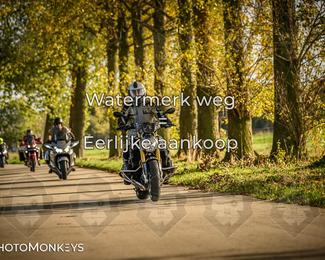 Herfstrit Moerzeke photo