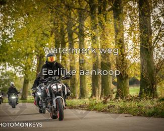 Herfstrit Moerzeke photo