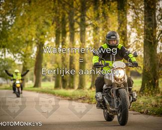 Herfstrit Moerzeke photo