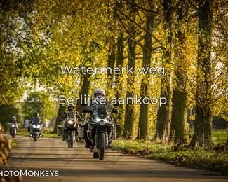 Herfstrit Moerzeke photo