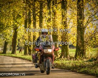 Herfstrit Moerzeke photo