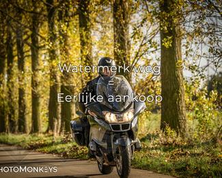 Herfstrit Moerzeke photo