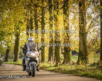 Herfstrit Moerzeke photo