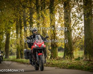 Herfstrit Moerzeke photo