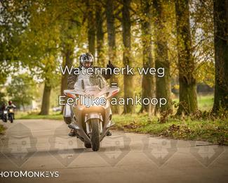 Herfstrit Moerzeke photo