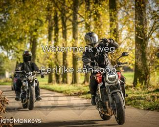 Herfstrit Moerzeke photo