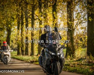 Herfstrit Moerzeke photo