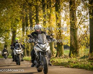 Herfstrit Moerzeke photo