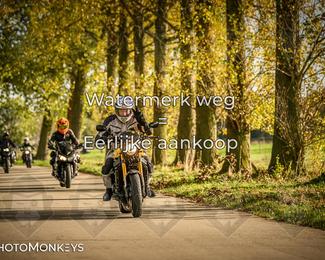 Herfstrit Moerzeke photo