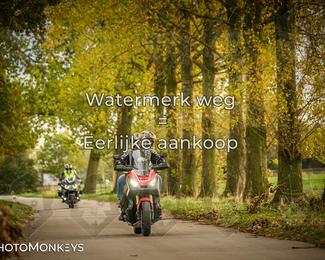 Herfstrit Moerzeke photo