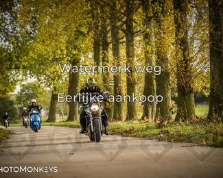 Herfstrit Moerzeke photo