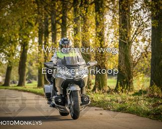 Herfstrit Moerzeke photo