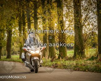 Herfstrit Moerzeke photo