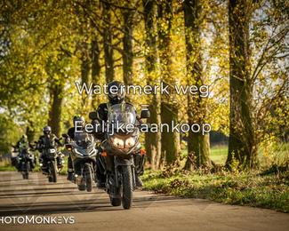 Herfstrit Moerzeke photo