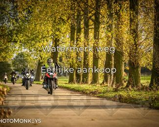 Herfstrit Moerzeke photo