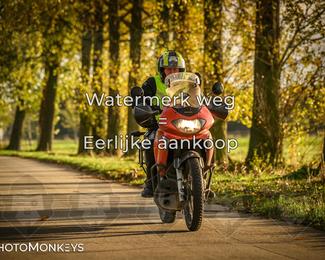 Herfstrit Moerzeke photo