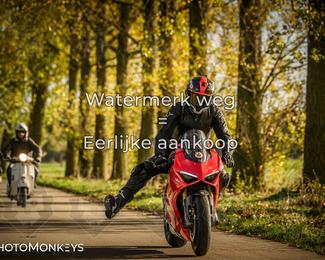 Herfstrit Moerzeke photo