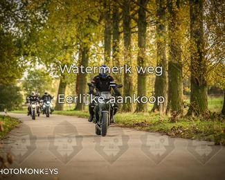 Herfstrit Moerzeke photo