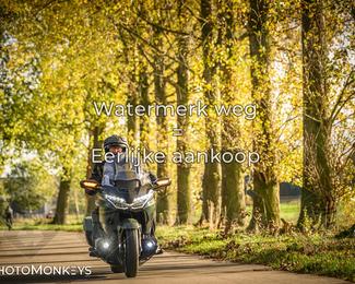 Herfstrit Moerzeke photo