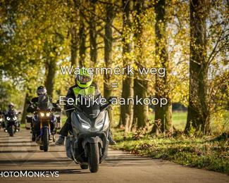 Herfstrit Moerzeke photo