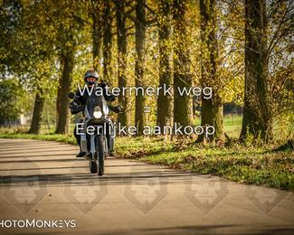 Herfstrit Moerzeke photo