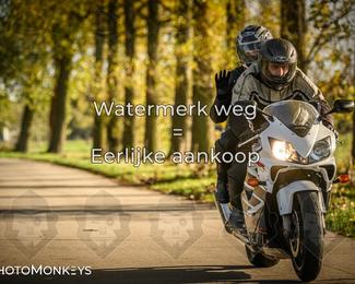 Herfstrit Moerzeke photo