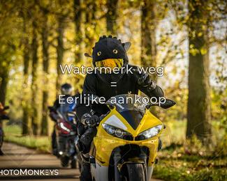 Herfstrit Moerzeke photo