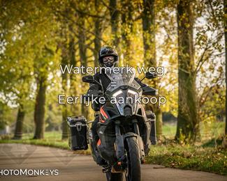 Herfstrit Moerzeke photo