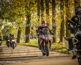 Herfstrit Moerzeke photo