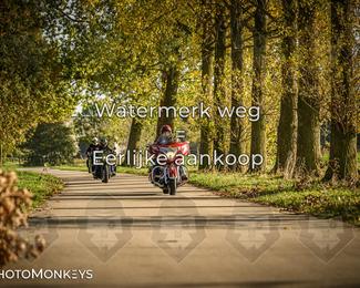 Herfstrit Moerzeke photo