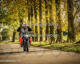 Herfstrit Moerzeke photo