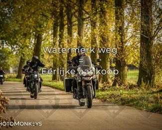 Herfstrit Moerzeke photo