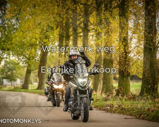 Herfstrit Moerzeke photo