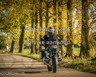 Herfstrit Moerzeke photo