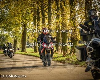 Herfstrit Moerzeke photo