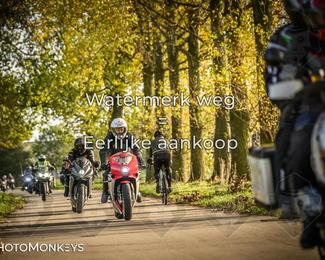 Herfstrit Moerzeke photo