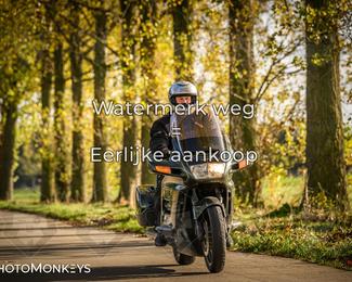 Balade d’automne Moerzeke photo