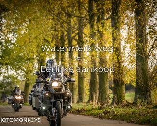 Herfstrit Moerzeke photo